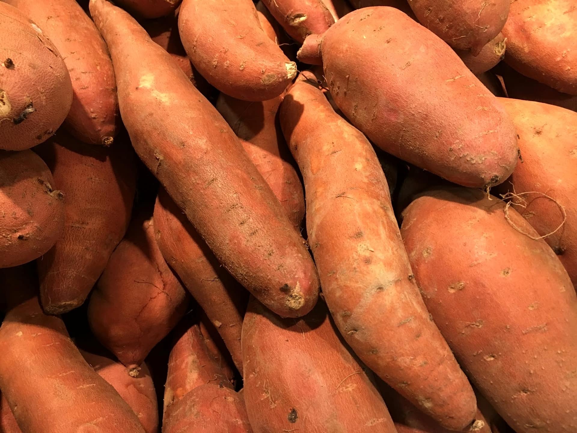 How to tell if a Sweet Potato is Bad? All the signs + picture
